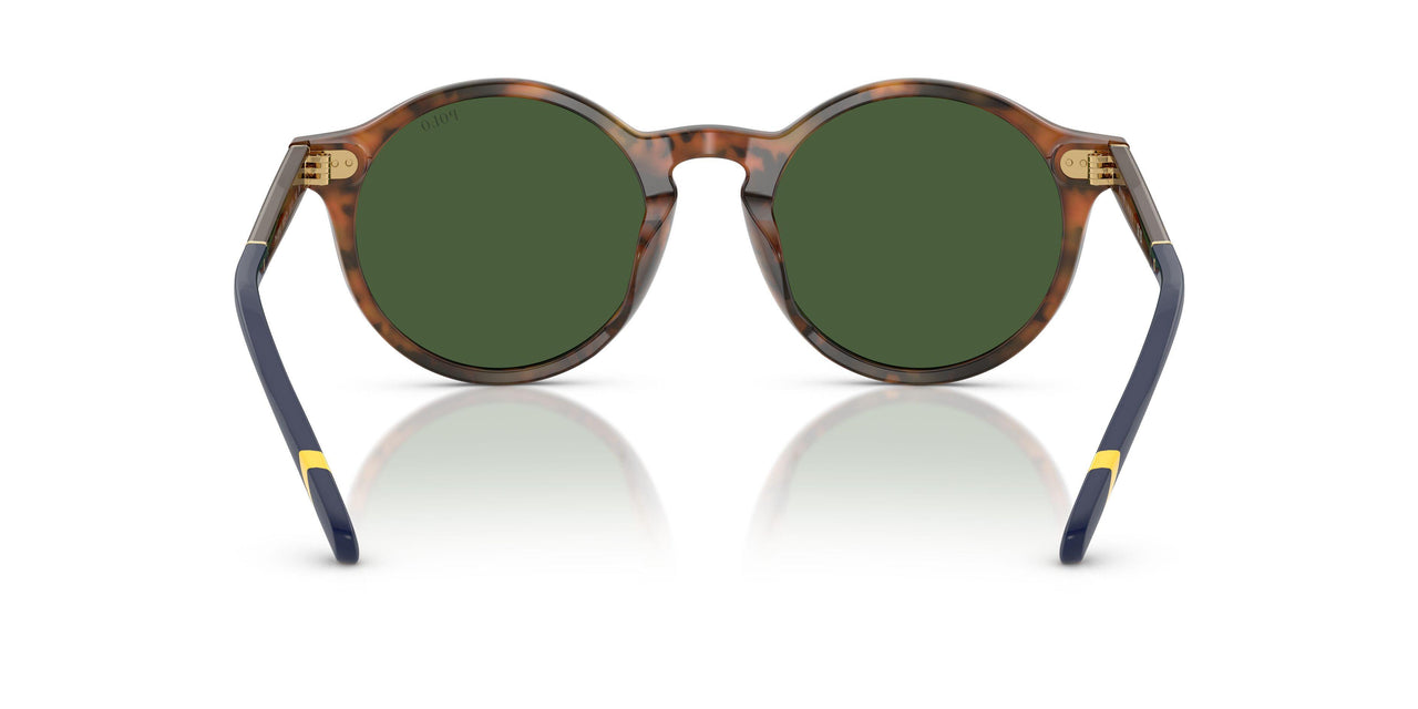 562571 - Tortoise - Bottle Green