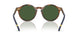 562571 - Tortoise - Bottle Green