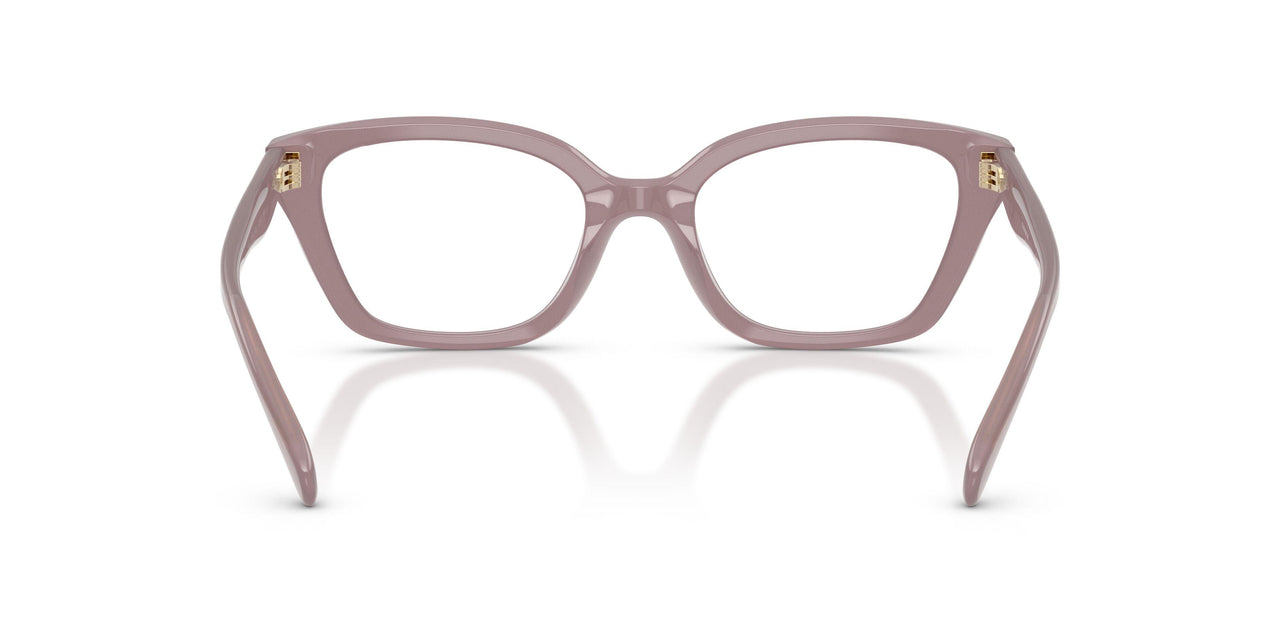5495 - Brown