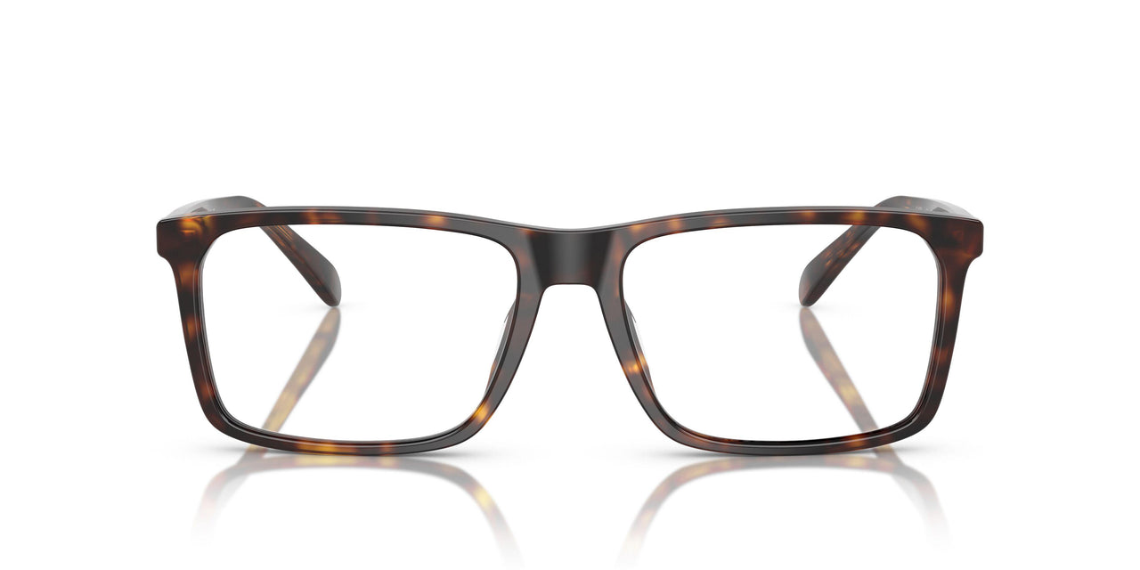 5120 - Tortoise