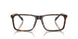 5120 - Tortoise
