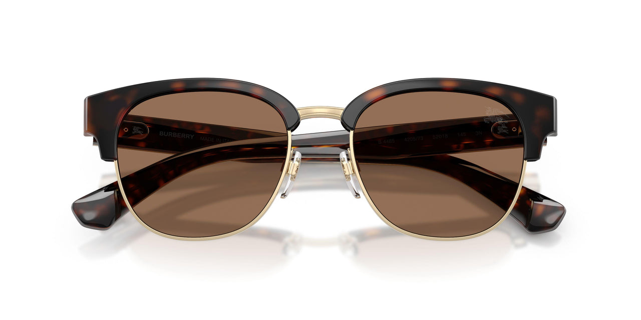 420573 - Brown - Dark Brown