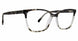 TGY - Tortoise/Grey
