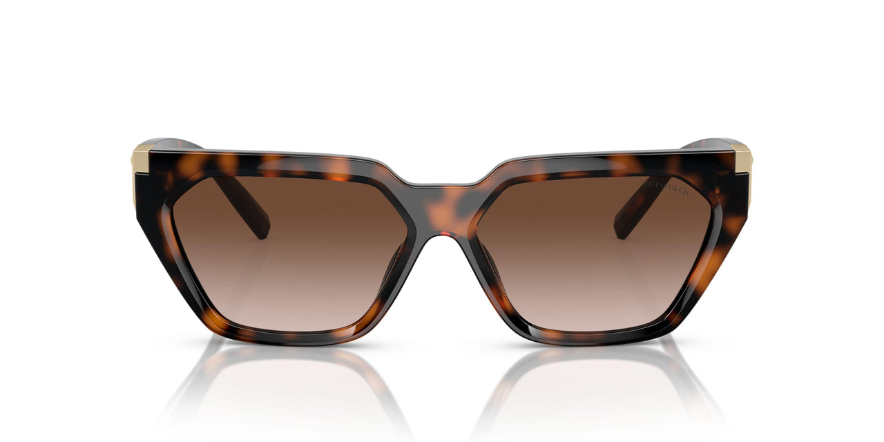 80153B - Tortoise - Brown Gradient