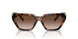 80153B - Tortoise - Brown Gradient
