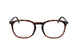 Polaroid PLDD431_F Eyeglasses