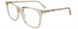 10 - Transparent Light Brown