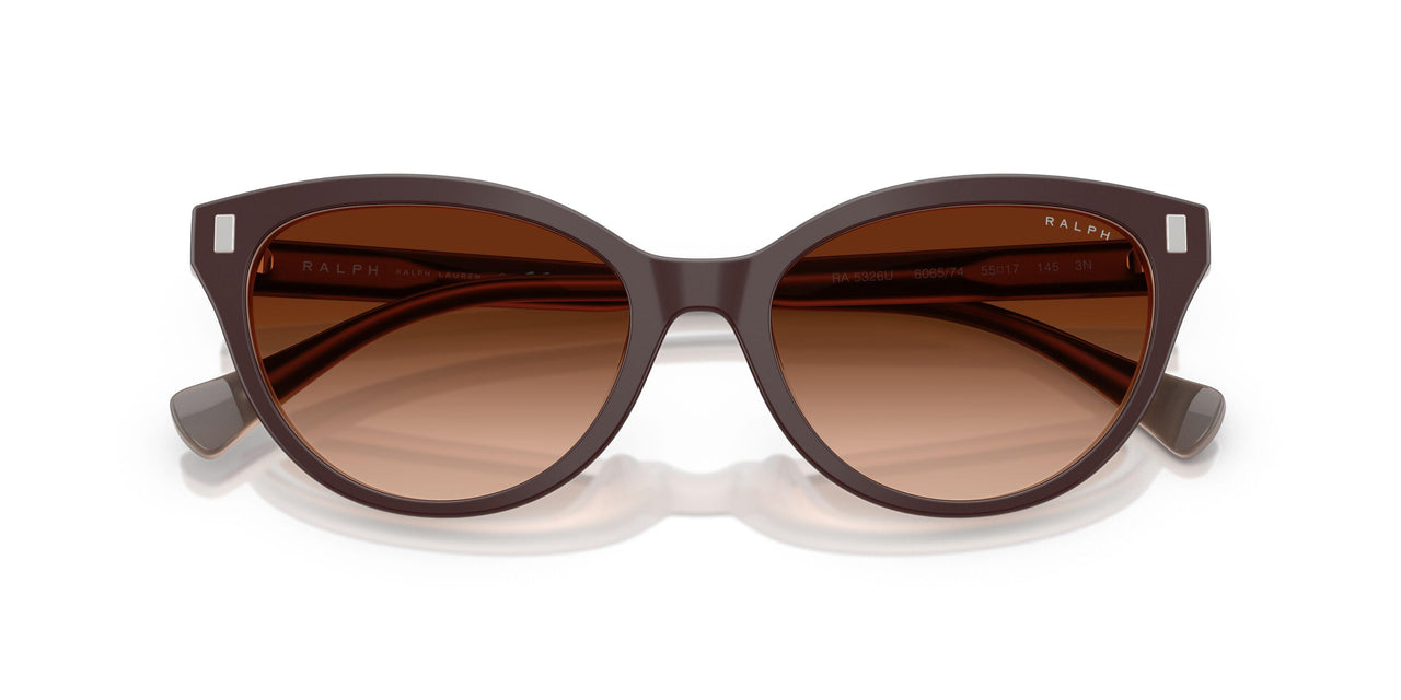 606574 - Brown - Gradient Brown