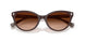 606574 - Brown - Gradient Brown