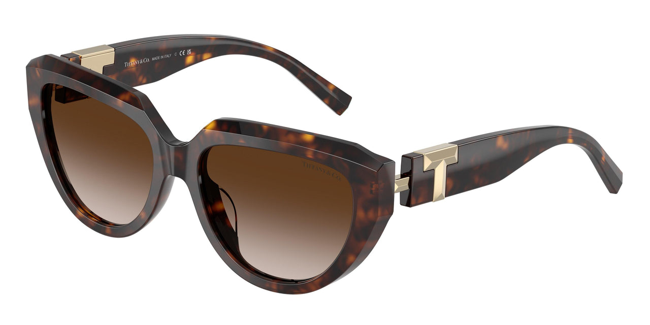 80153B - Tortoise - Brown Gradient