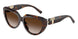 80153B - Tortoise - Brown Gradient