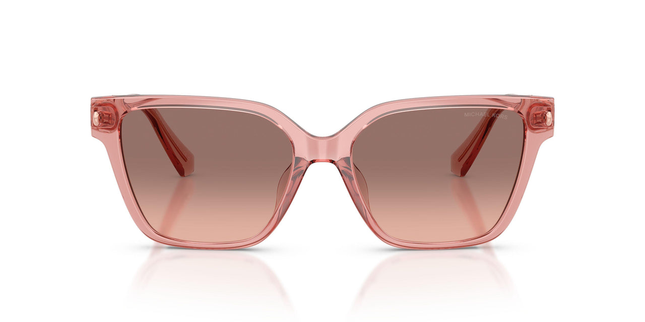 310113 - Pink - Pink Gradient Dark Brown