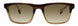 STATE Optical Co. BURNHAMSW Eyeglasses