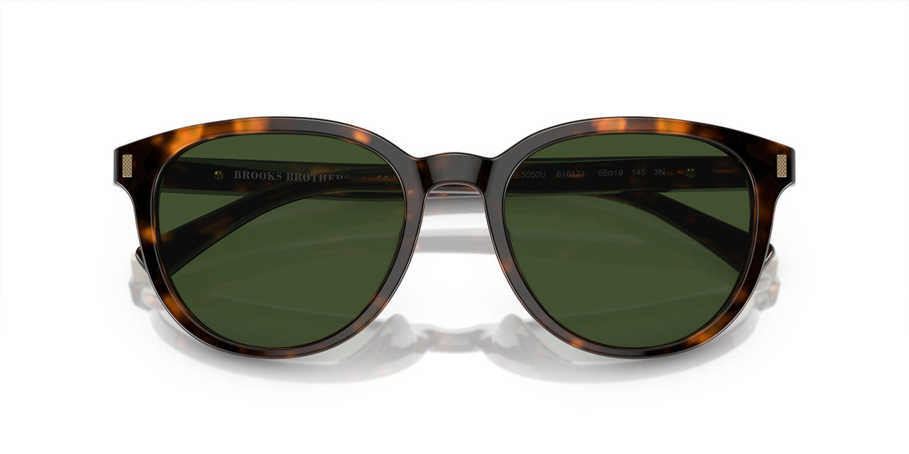 616171 - Tortoise - Solid Dark Green