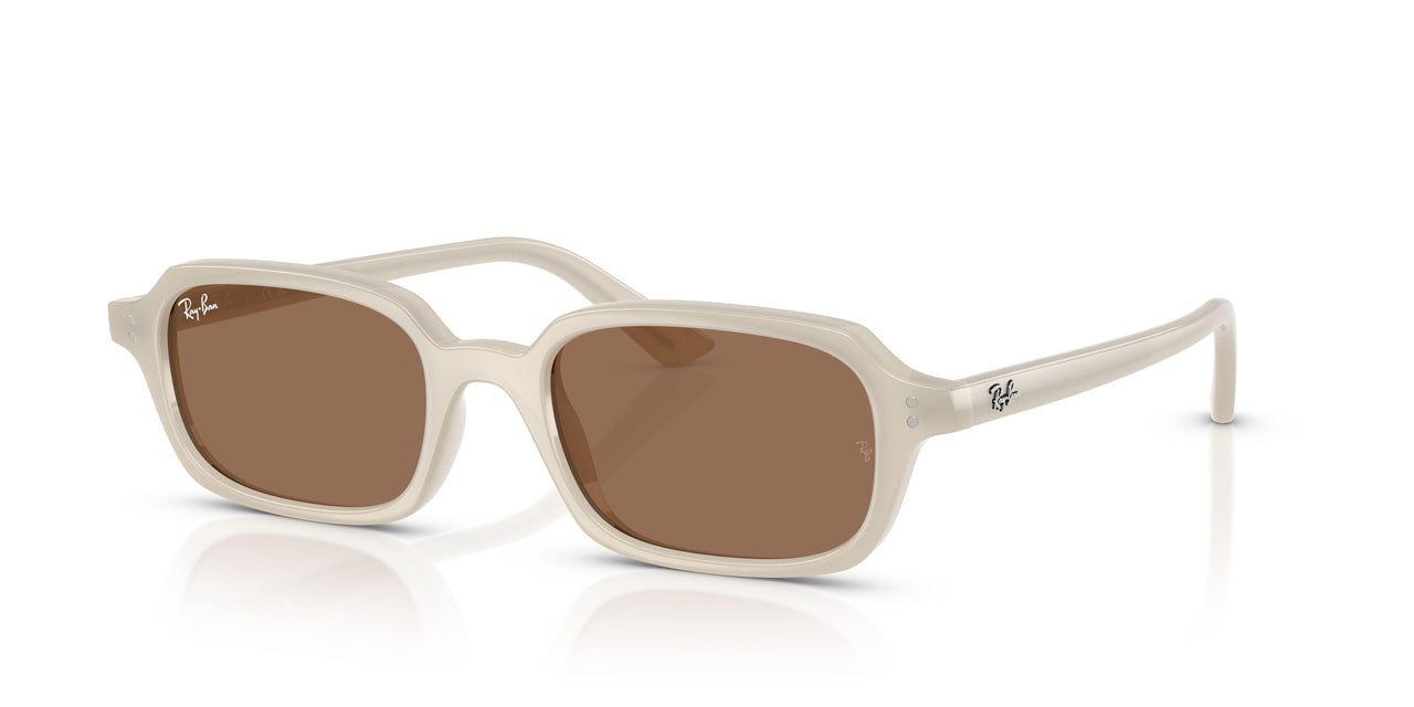 Ray-Ban Zuri 4455 Sunglasses