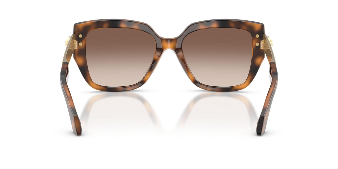 526420 - Brown - Pink Gradient Violet