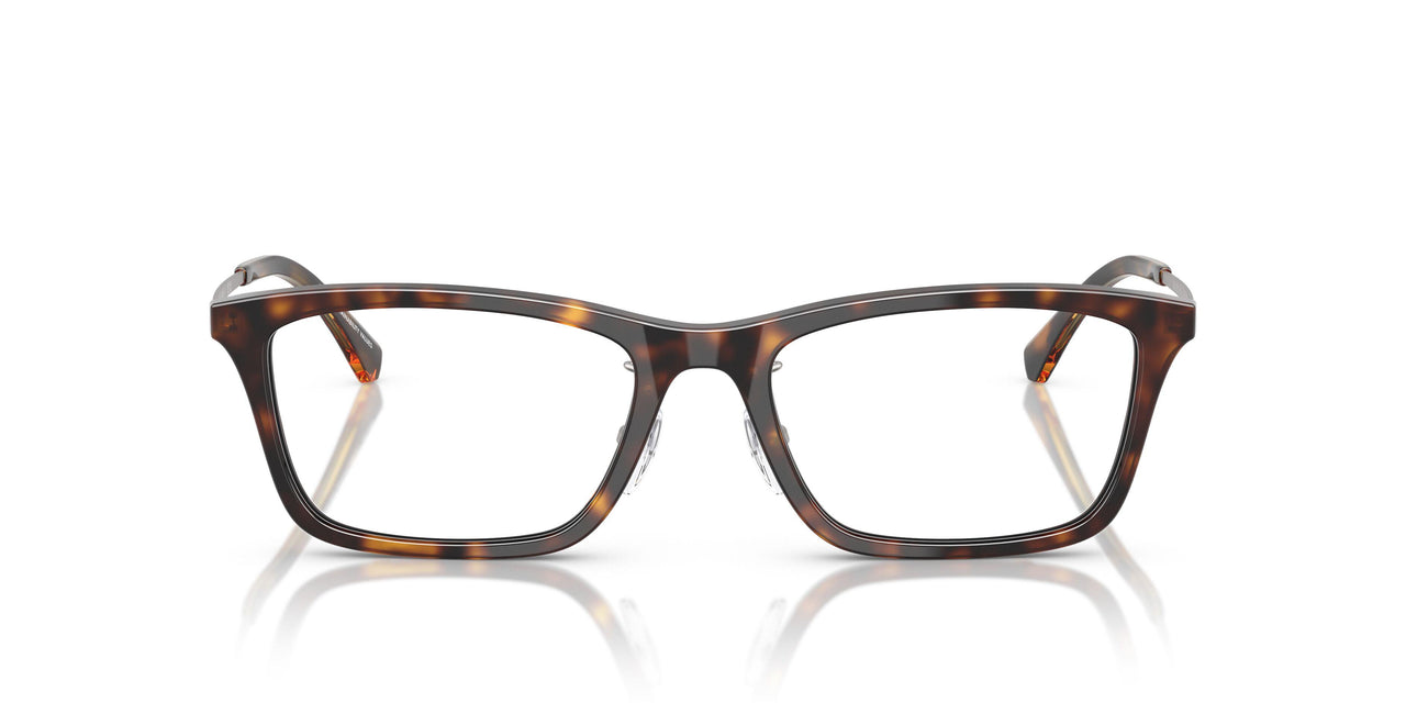 5026 - Tortoise