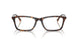 5026 - Tortoise