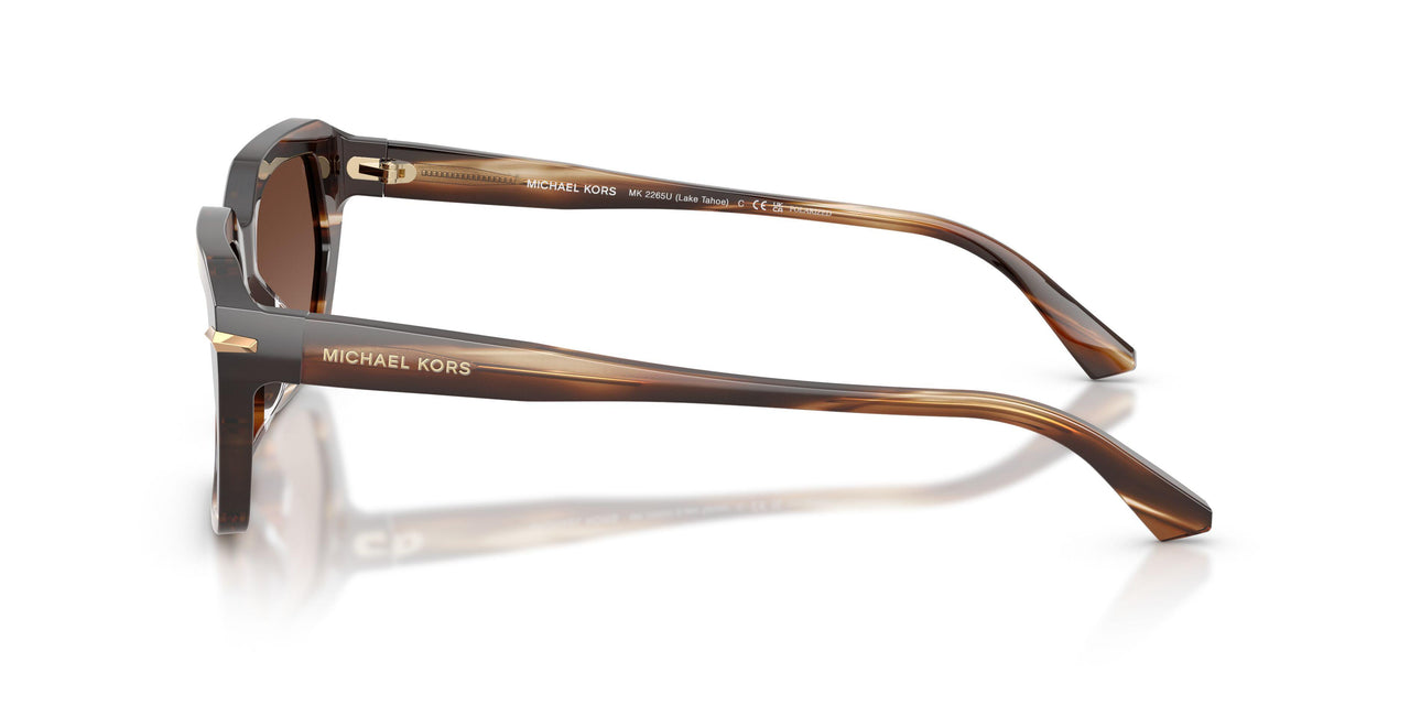 4039T5 - Brown - Brown Solid Polar