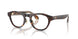 50261W - Tortoise - Clear