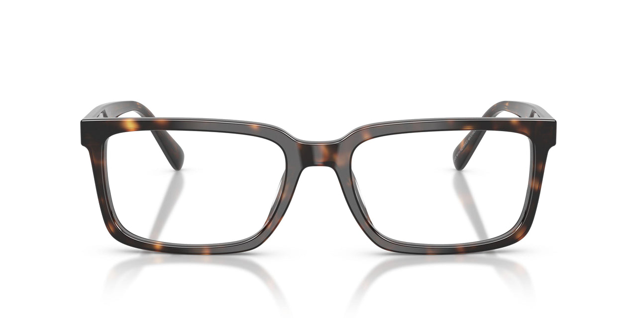 5120 - Tortoise