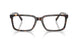 5120 - Tortoise
