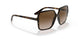 W65613 - Havana - Brown Gradient