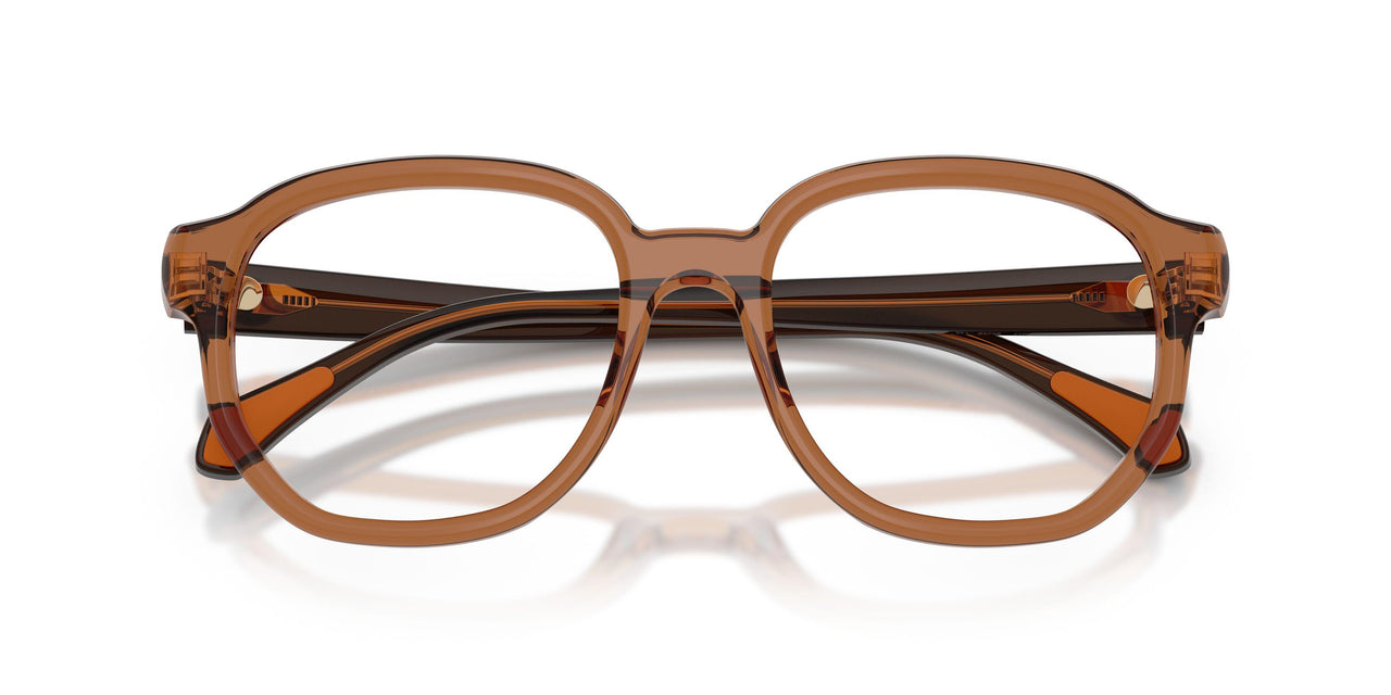 3017 - Brown