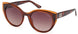 Guess 7909 Sunglasses