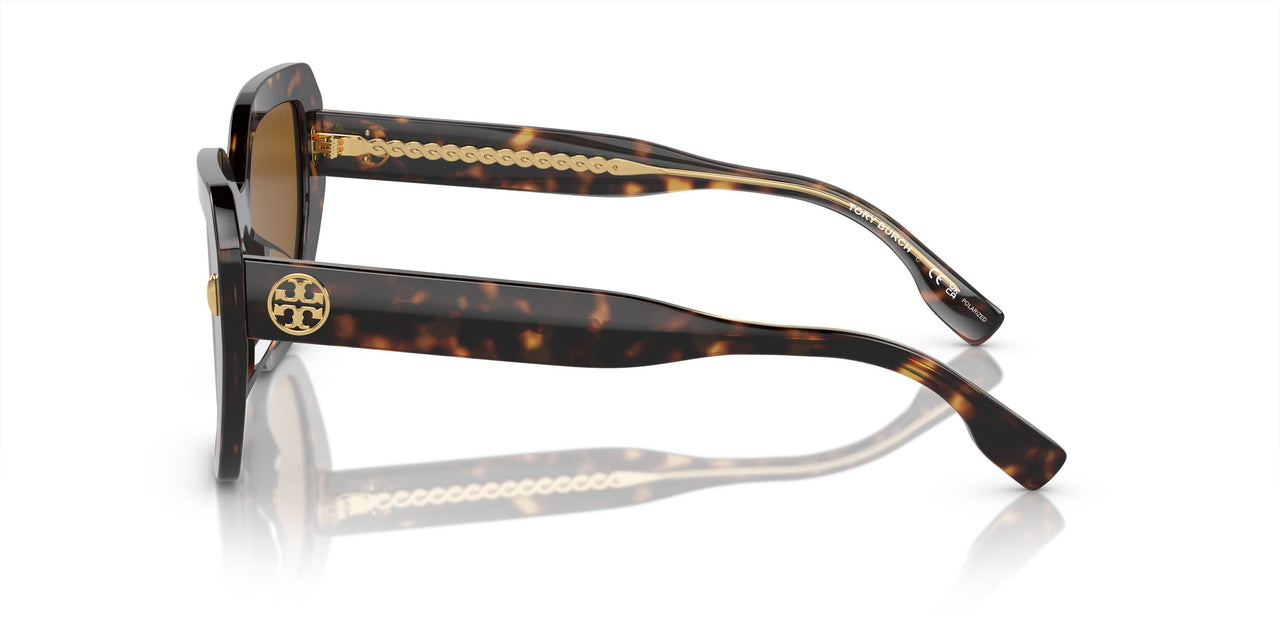172883 - Tortoise - Solid Dark Brown Polar