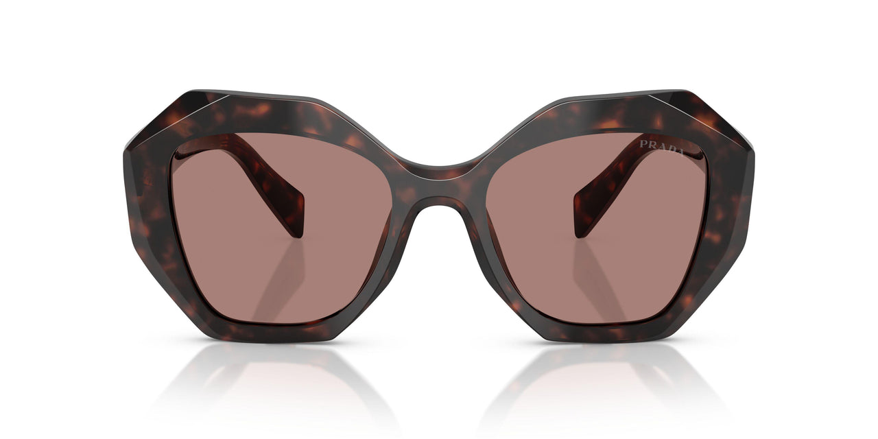 17N60B - Tortoise - Light Brown