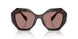 17N60B - Tortoise - Light Brown