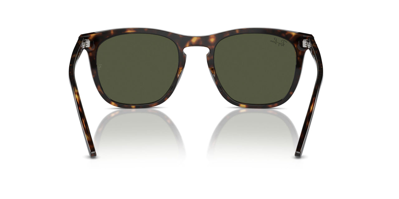 902/31 - Tortoise - Green