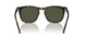 902/31 - Tortoise - Green
