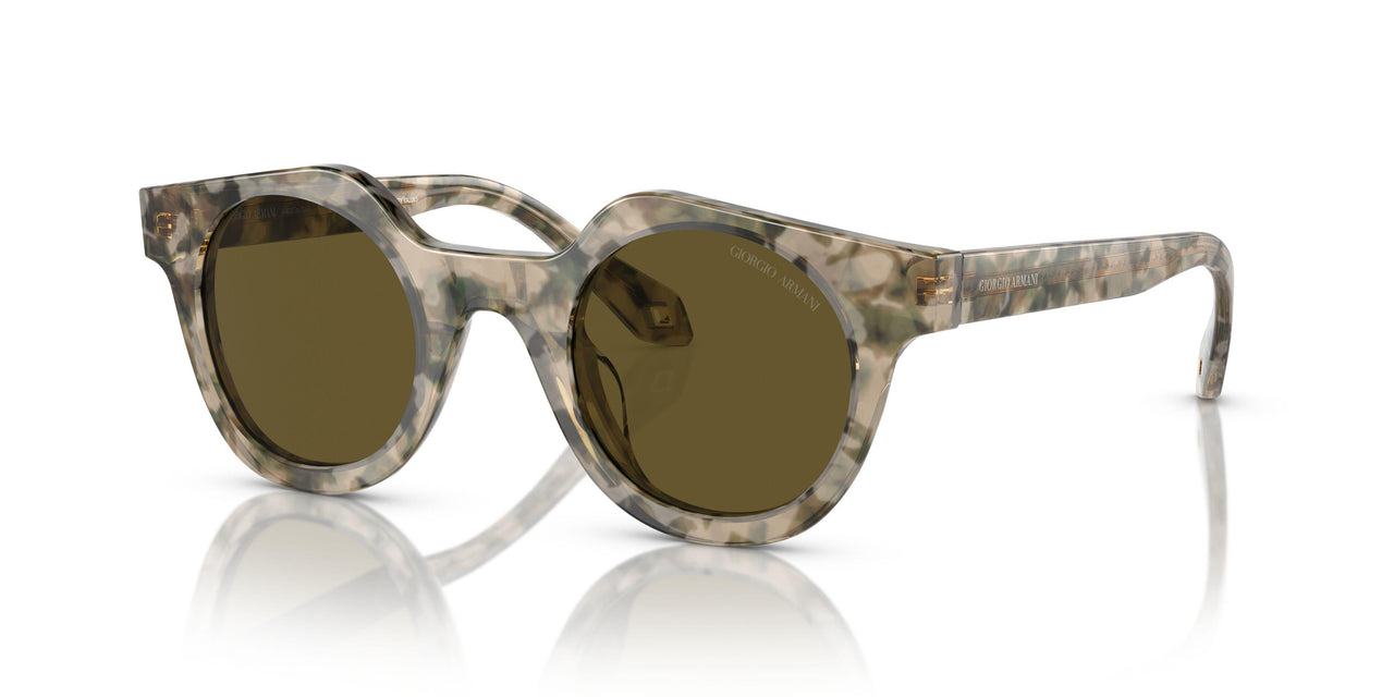 601773 - Beige - Dark Brown