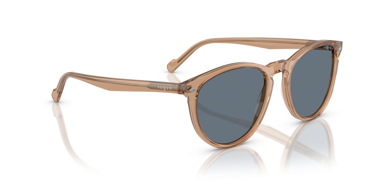 31894Y - Brown - Blue Polar