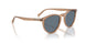 31894Y - Brown - Blue Polar