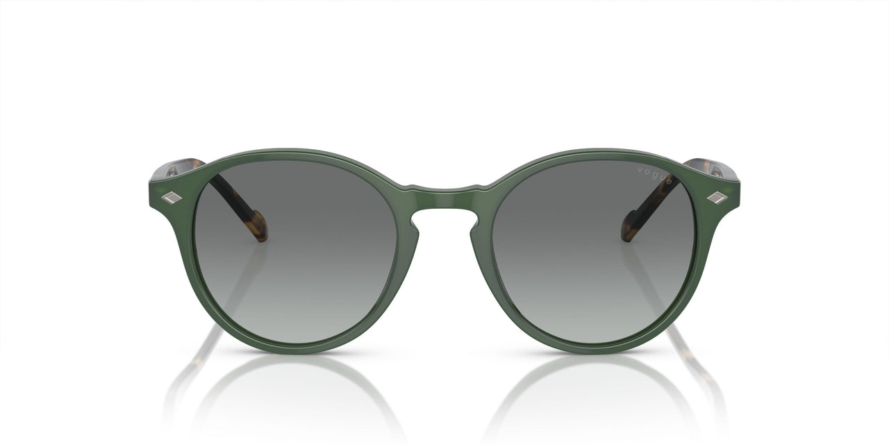 309211 - Green - Grey Gradient