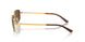 001/57 - Gold - Brown
