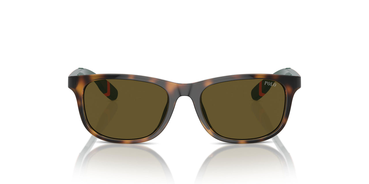 500373 - Tortoise - Olive Green