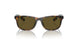 500373 - Tortoise - Olive Green