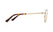 0000018 - Matte Gold Dark Tort