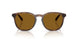 500383 - Tortoise - Dark Polar Brown