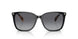6037T3 - Black - Polar Gradient Brown