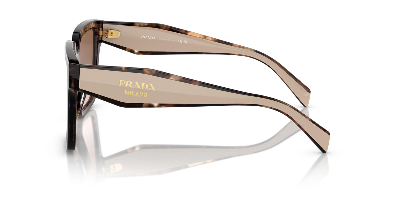 07R0A6 - Tortoise - Brown Gradient
