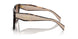 07R0A6 - Tortoise - Brown Gradient