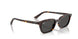 135987 - Tortoise - Dark Grey