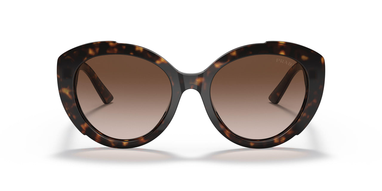 2AU6S1 - Havana - Brown Gradient