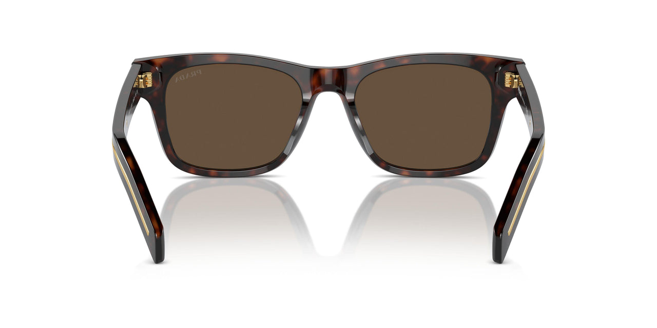 17N70F - Havana - Dark Brown