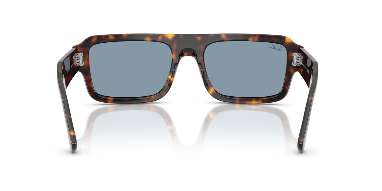 902/56 - Tortoise - Blue